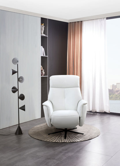 Tripp - Power Swivel Recliner