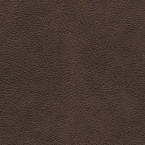 Crossplex - Power Reclining Sofa With Adjustable Headrest - Smoke