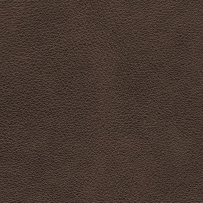 Crossplex - Power Reclining Sofa With Adjustable Headrest - Smoke