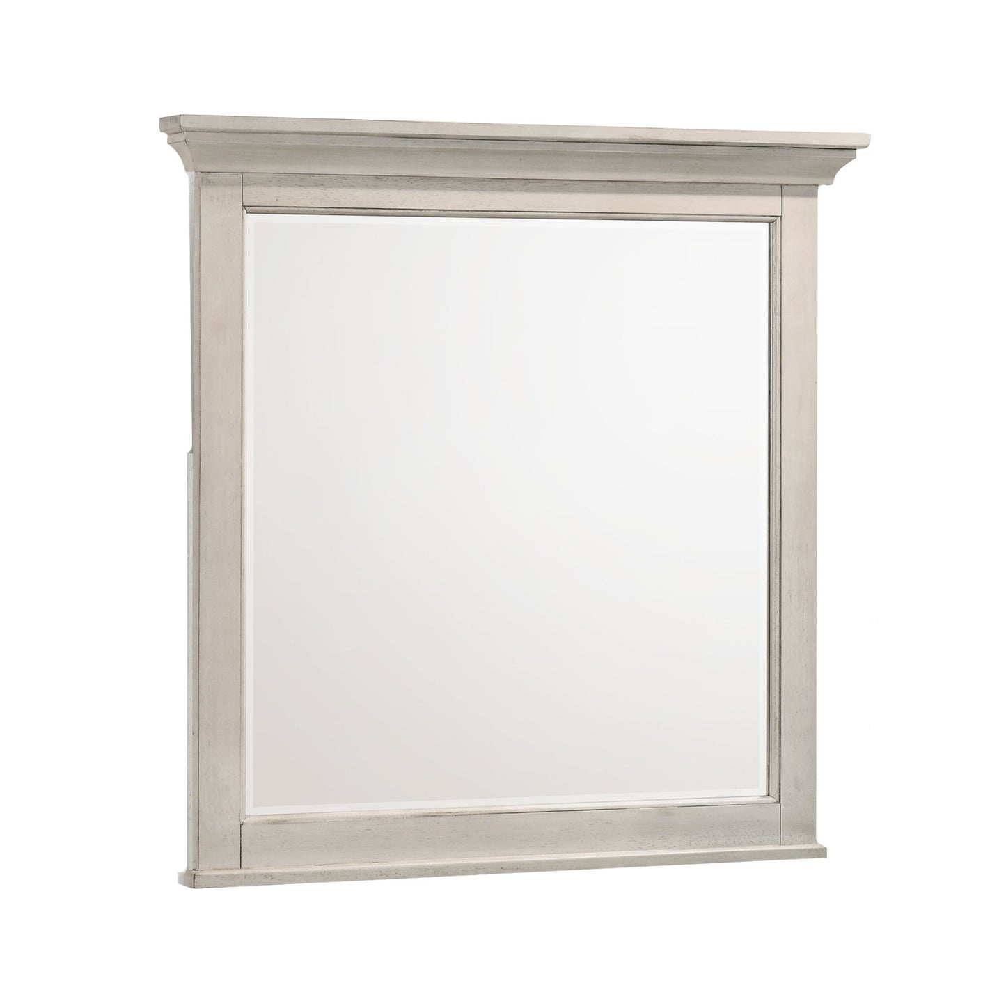 San Mateo Youth - Mirror